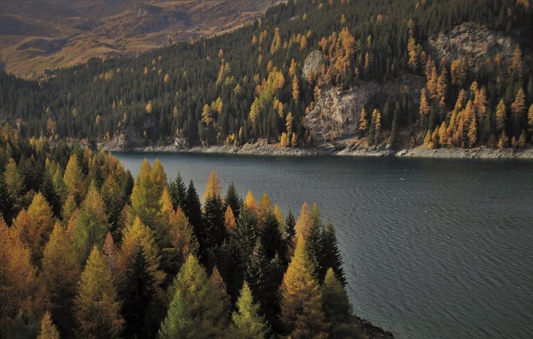 the ins and outs of bridge loans for land acquisition