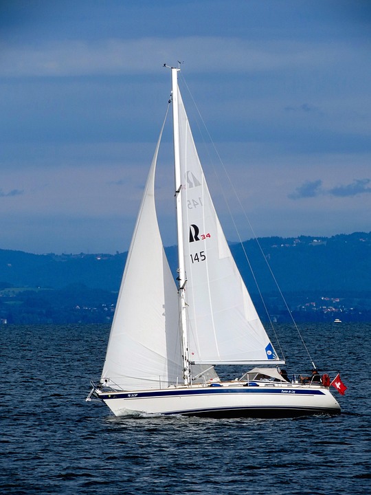 navigating the nmls: a comprehensive guide to license searches