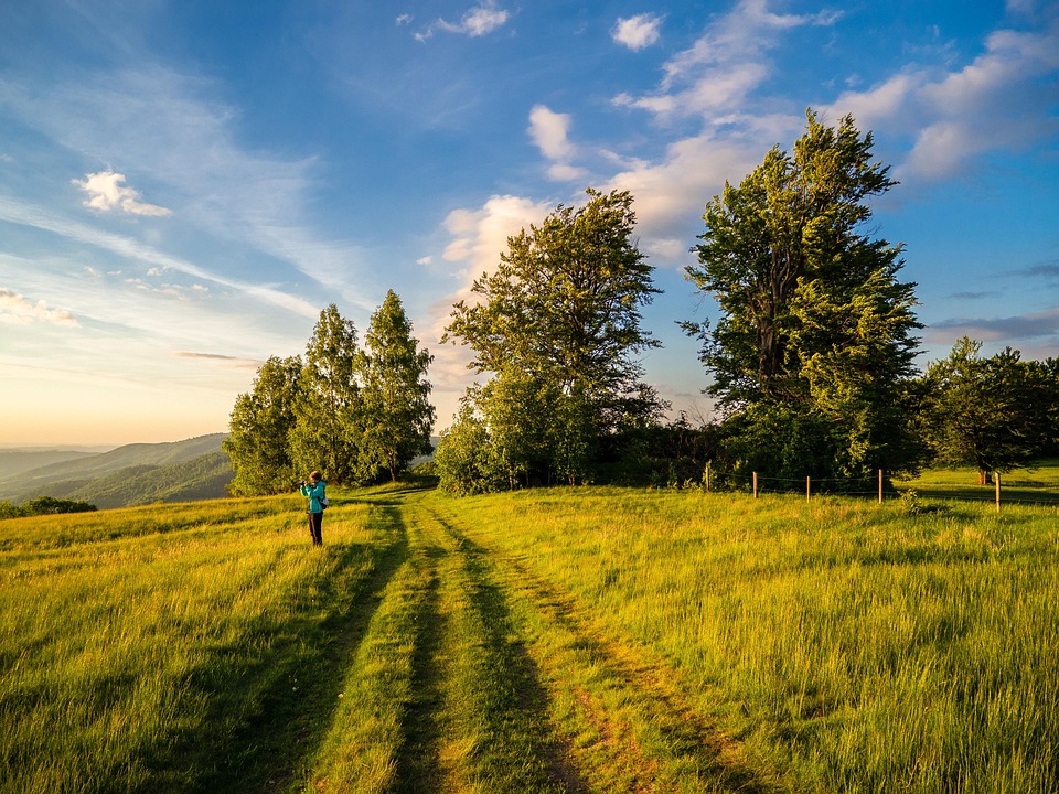 exploring newrez: transforming home financing for modern homeowners