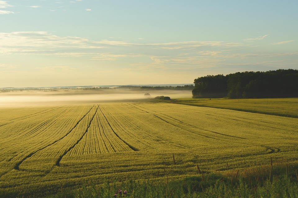 understanding land mortgages: a comprehensive guide for first time buyers