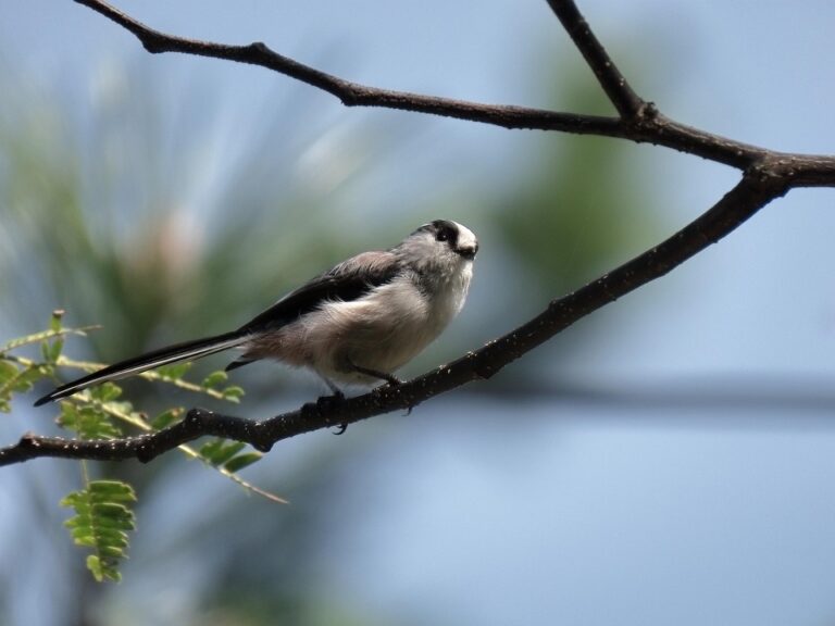 a comprehensive guide to investing in multifamily properties