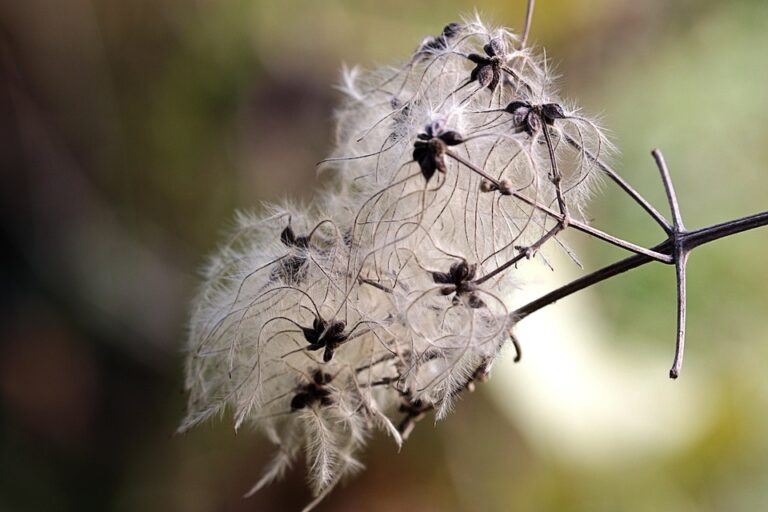 understanding plot loans: a comprehensive guide for first time borrowers