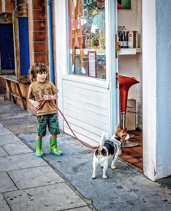 choosing the right direct mortgage lender: what you need to