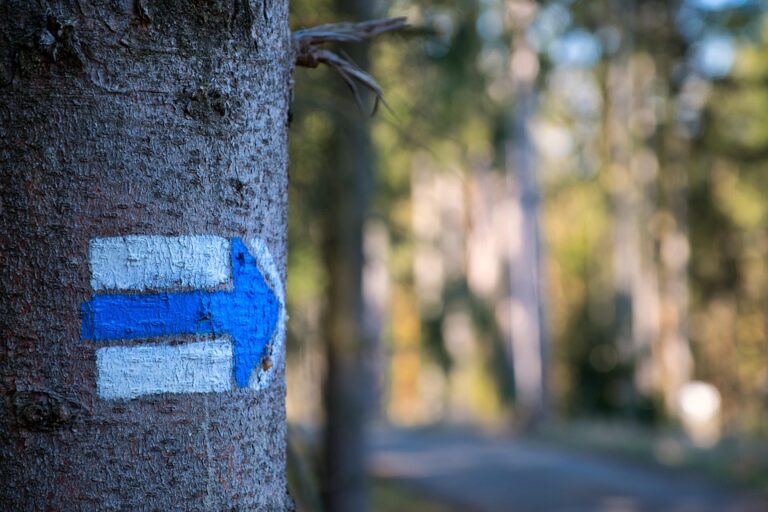 navigating the mortgage maze: essential tips for first time home buyers