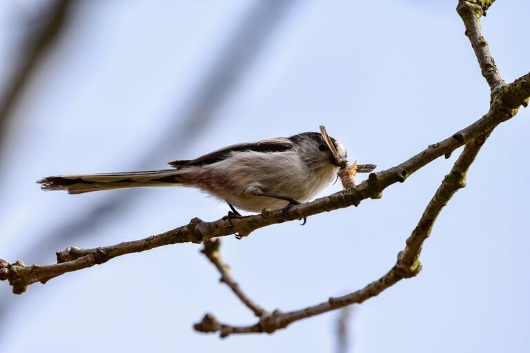 the ultimate guide to buying your first condo: tips and