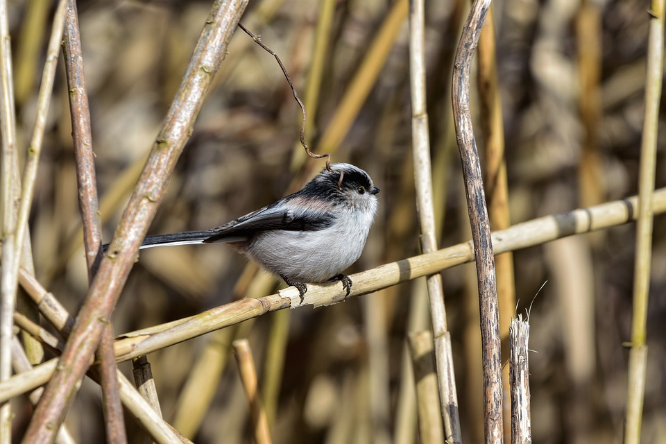 the ultimate guide to home refinancing: strategies for success