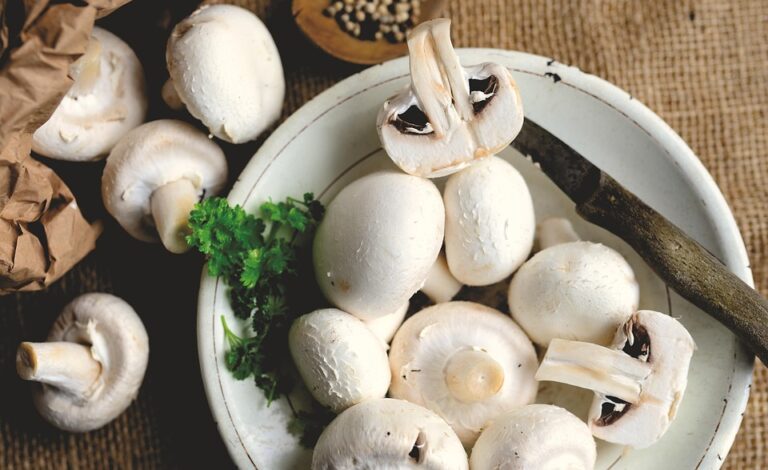 top fha streamline refinance lenders of 2023: save on your