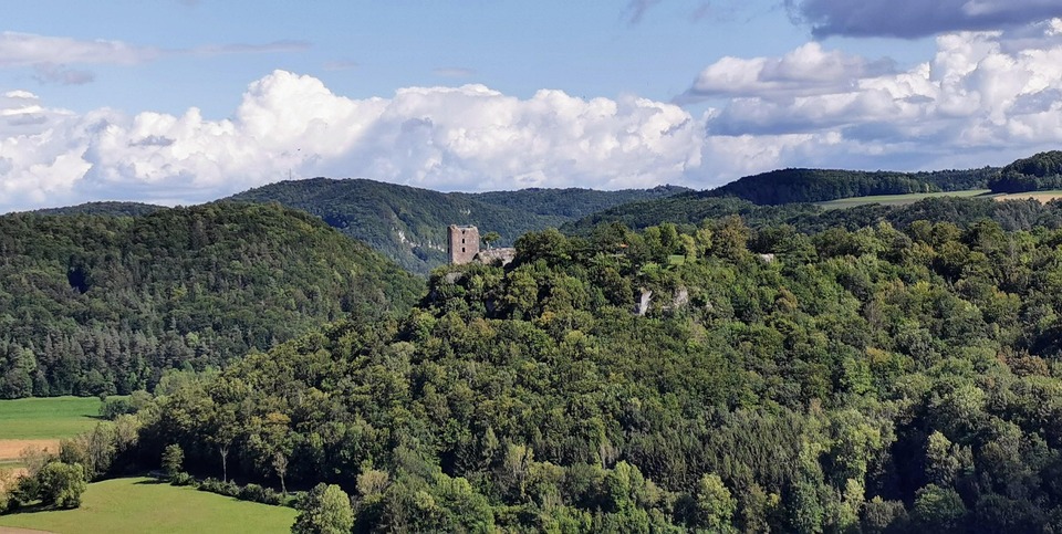 understanding guarantor home loans: your ultimate guide