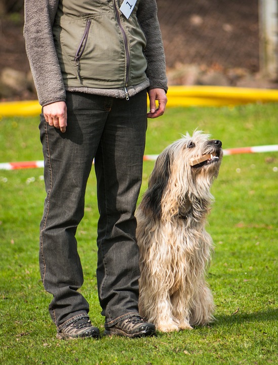 understanding the basics: a beginner's guide to mortgage borrowing