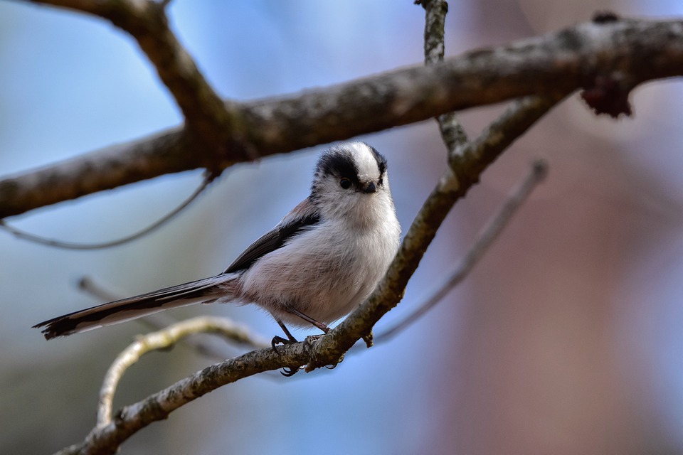 the ultimate guide to buying your first buy to let property: tips