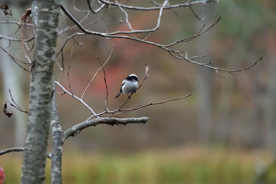 your guide to buying airbnb properties: tips for first time investors