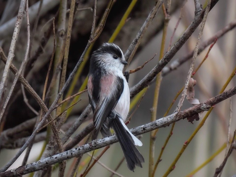 your guide to buying flats: tips for finding the perfect