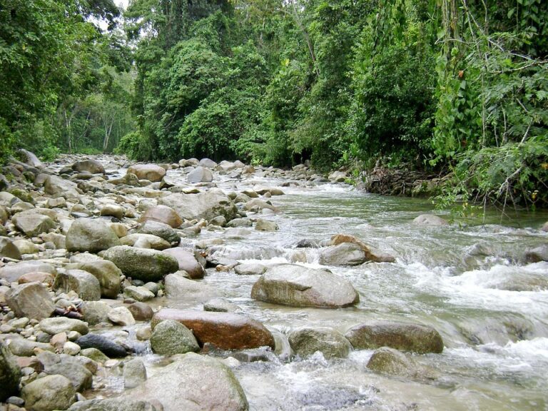 current trends: understanding 30 year fixed mortgage interest rates in 2023