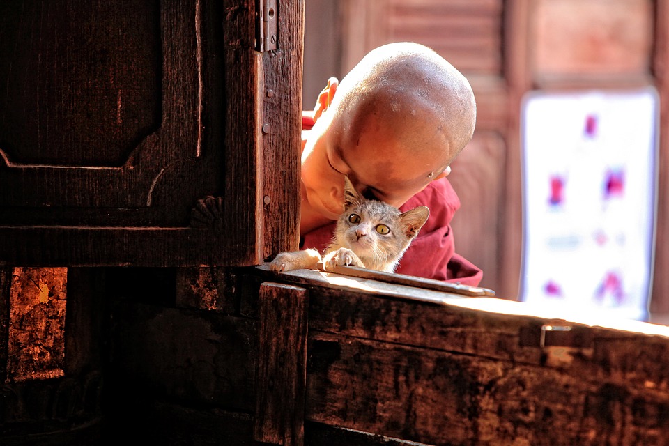 the beginner's guide to buying foreclosed homes: what you need