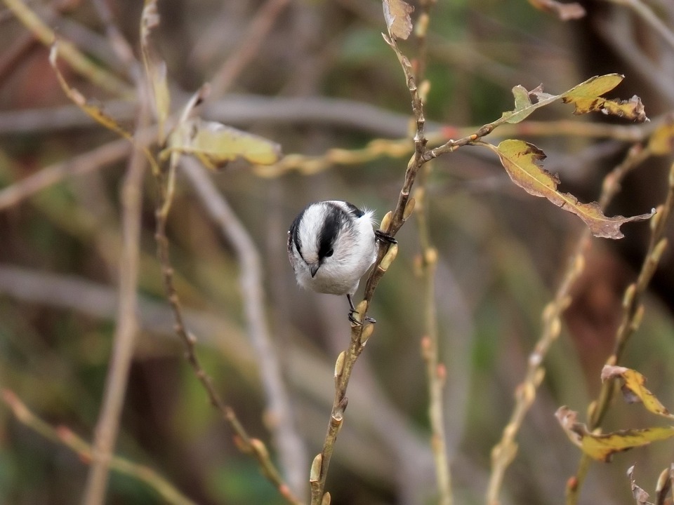 the ultimate guide to first time homeownership: what you need to