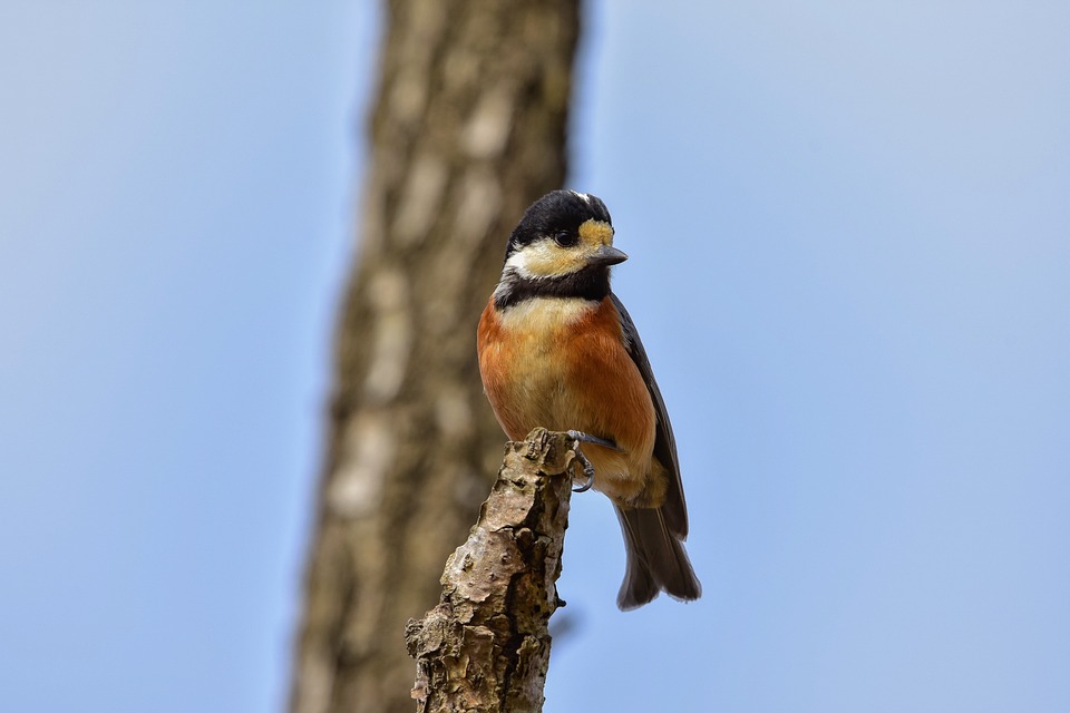 the ultimate guide to remortgaging: steps to achieve better rates