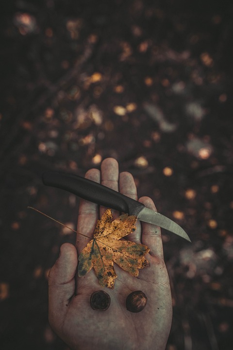 understanding the basics of usda loans: eligibility, benefits, and requirements