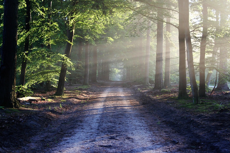 refinancing: your path to eliminating pmi and saving money